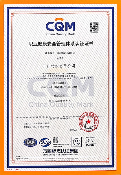 职业健康安全管理体系认证